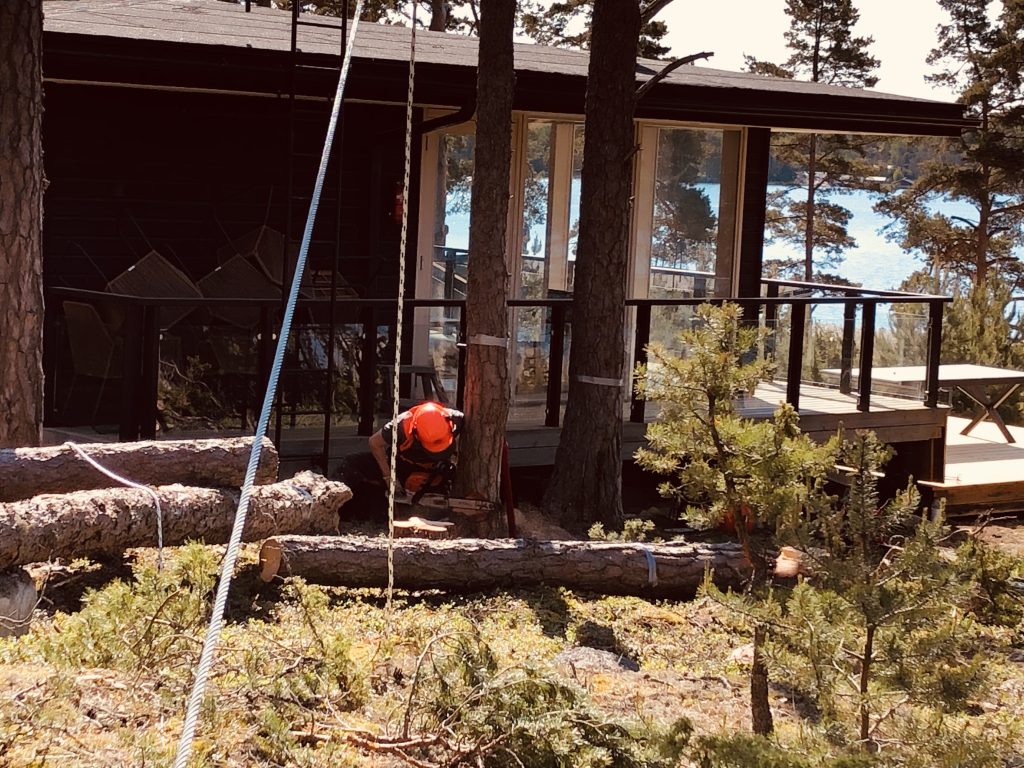 Puunkaato rakennuksen vierestä