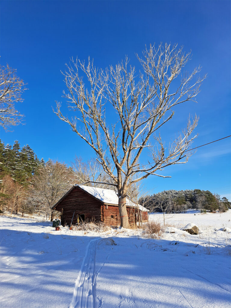 Kuormaliinat sidottu rungon ympärille ja taljaveto viritetty kaatosaksien avulla