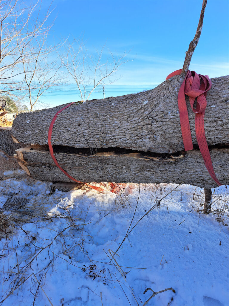 Runko on haljennut. Onneksi sidoin kuormaliinat.