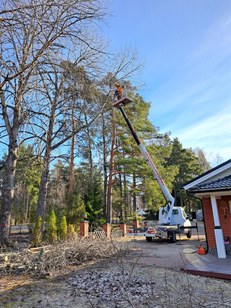 Haapojen poisto paloina nostokorista